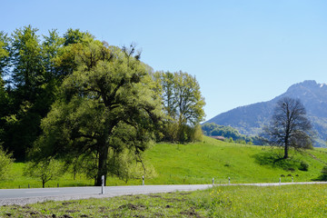 Gebirgslandschaft in Oberbayern
