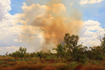 Obraz na płótnie Canvas Bushfire raging in Australian outback
