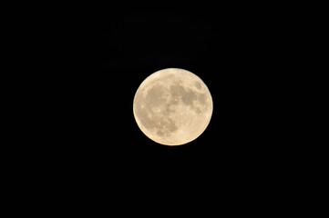 Mond
