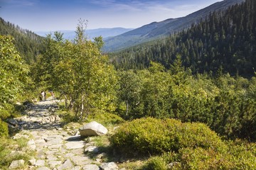 Mountain trail in Karkonosze