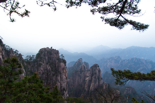 Monkey watching the sea in Huang Shan