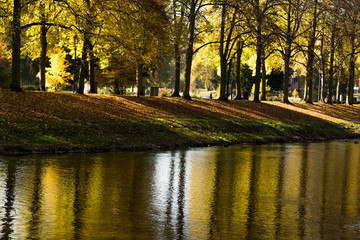 Obraz premium An der Ahr in Bad Neuenahr im Herbst