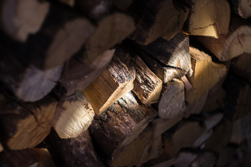 A ray of sunlight on the wood