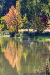 Autumn colours reflection