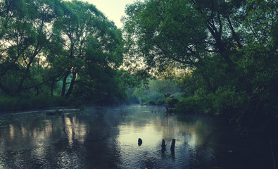 Summer landscape with river