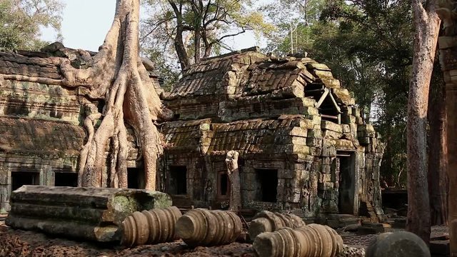Cambodia Angkor Wat Ta Prohm temple Tomb Raider tree roots ruins