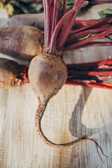 Beetroot on boards