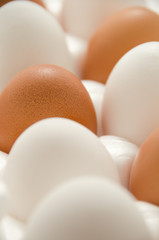 Eggs. Fresh chicken eggs in box.