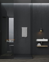 Bathroom and toilet interior with black walls