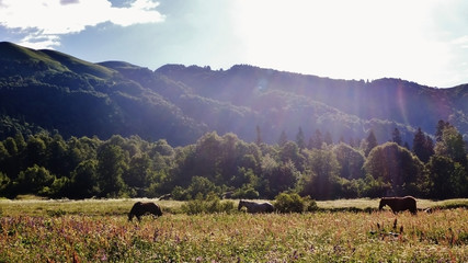Amazing Caucasus mountains.