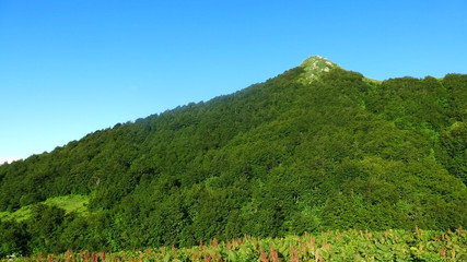Amazing Caucasus mountains.