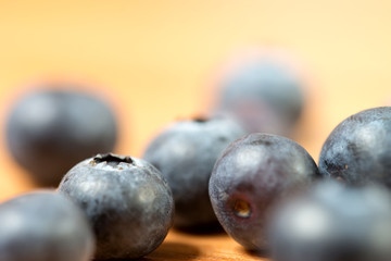 Heidelbeere / viele Heidelbeeren