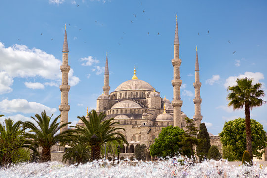 Blue Mosque Sultanahmet Camii in Istanbul, Turkey