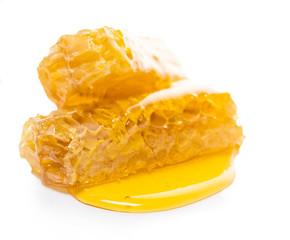 bee honeycomb with honey