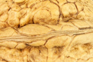 Detailed view of the structure of the shell of a walnut. Super foods for human brain. Healthy walnuts. Fresh walnuts