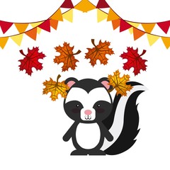 happy thanksgiving card with skunk icon over white background. colorful design. vector illustration