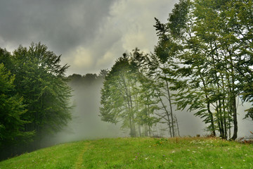 beautiful views of the mountains