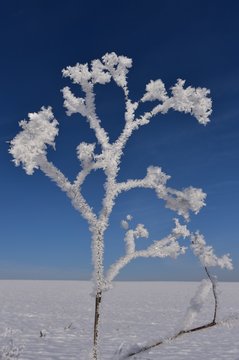 Wintergru&szlig;