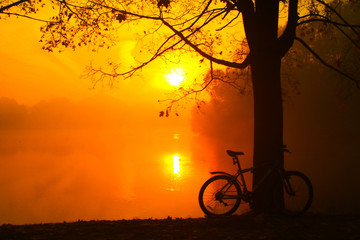Foggy morning over the lake, fall trees reflected in water