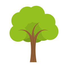 tree plant isolated icon vector illustration design