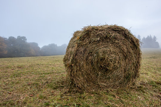 Round Bail of Hay in Foggy Autumn Field