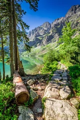 Wall murals Tatra Mountains Stunning lake in the mountains at dawn in Poland