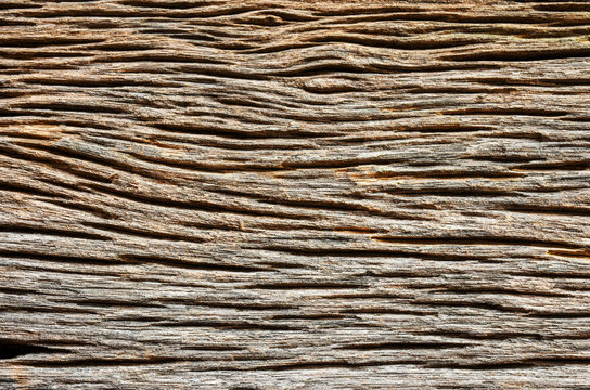 Wood texture background. Weathered hardwood plank closeup texture.