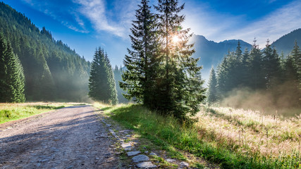 Fototapeta premium Beautiful dawn in Valley Chocholowska, Tatra Mountains in summer