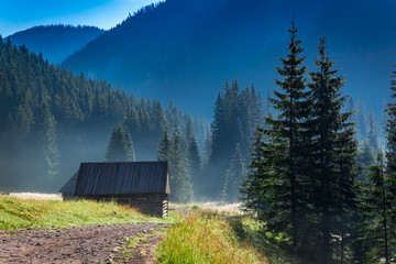 Beautiful valley in Tatra Mountains at dawn in summer