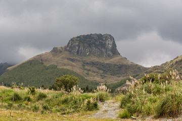 Cajas National Park in the Andes highlands of Ecuador