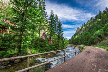 Obraz premium Mountain trail by the river at sunrise in Tatras Mountains