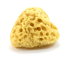 Naturschwamm, Badeschwamm