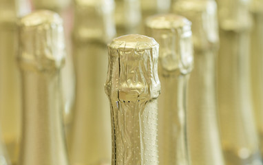 Fototapeta na wymiar Champagne gold bottle necks and top caps at standing the light background in stock.