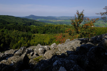 Blockschutthalde am Schafstein, Biosph&auml;renreservat Rh&ouml;n, Hessen, Deutschland