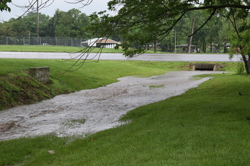 Ditch Water