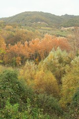 Fototapeta premium countryside of Irpinia in autumn, Avellino, Campania, Italy 