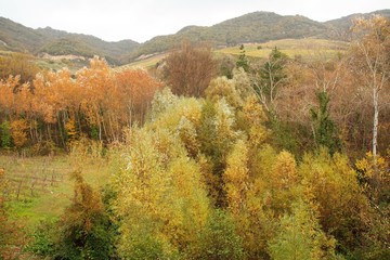 countryside of Irpinia in autumn,  Avellino, Campania, Italy 