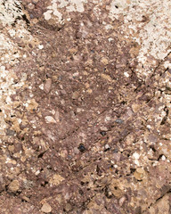 rock stone as background