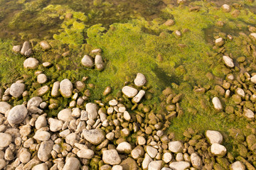 stones in the river in nature