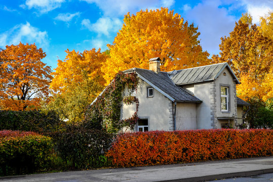 Small house surrounded by coloured trees on a sunny autumn day