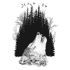 Wolf silhouette on forest background
