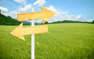 wooden sign on field grass