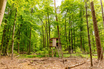 Hochsitz im Forst © Christian Schwier