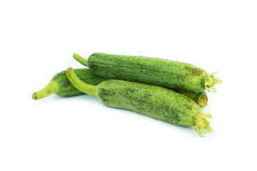 Sponge Gourd Vegetable Sponge( Luffa cylindrica) isolated on whi