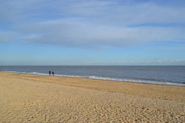 people on the beach in the distance 