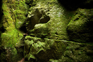 Fantastic view of the green canyon Siberia. Stone walls covered