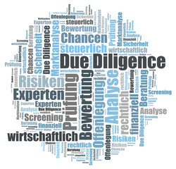 Due Diligence word cloud