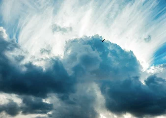 A bird in the dramatic cloudy sky