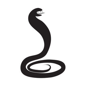 Silhouette of a snake, a cobra threatening to stand on a white b