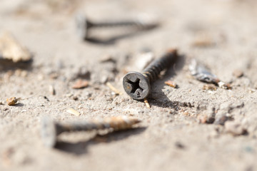 screw on the ground. macro